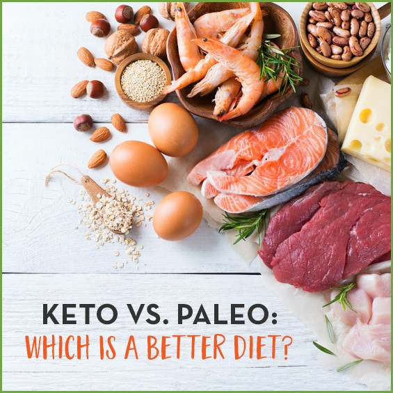 Clean Eating Vs Paleo
 Keto vs Paleo Which Diet Is Better