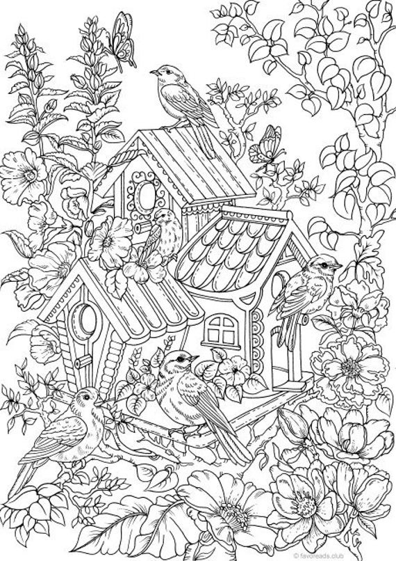 Coloring Book Adults
 Birdhouse Printable Adult Coloring Page from Favoreads