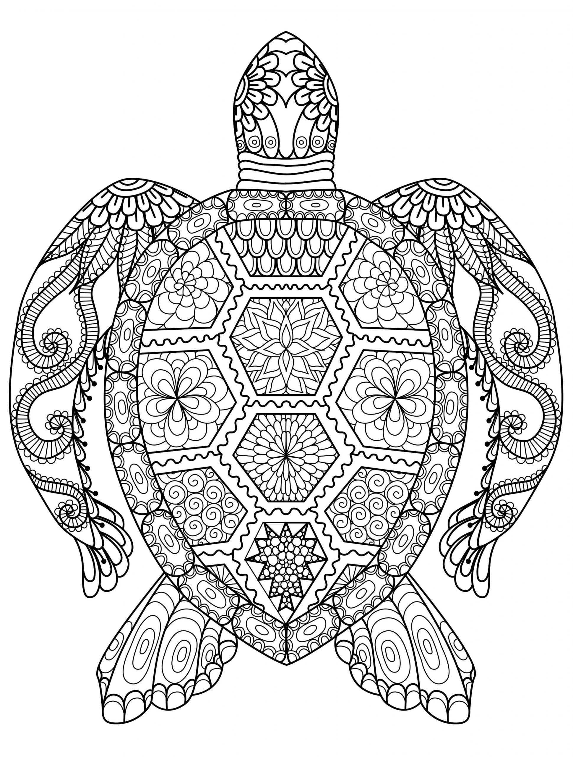Coloring Book Adults
 Adult Coloring Pages Animals Best Coloring Pages For Kids