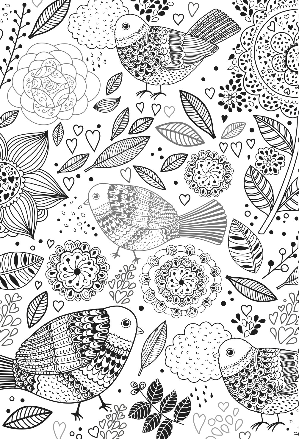Coloring Book Adults
 Colouring Books for Adults In The Playroom