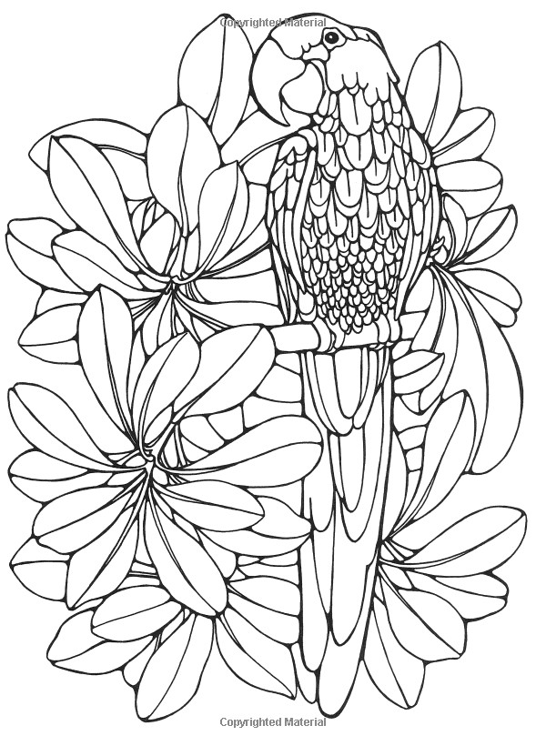 Coloring Book For Adults Amazon
 Designs for Coloring Birds Ruth Heller