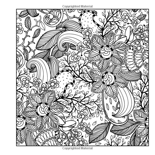 Coloring Book For Adults Amazon
 Amazon Adult Coloring Books A Coloring Book for