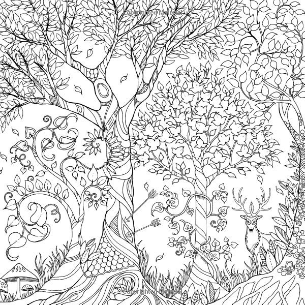 Coloring Book For Adults Amazon
 Enchanted Forest An Inky Quest & Coloring Book Johanna