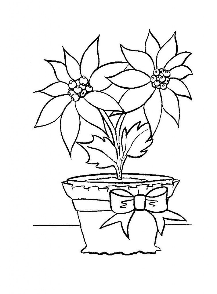 Coloring Book For Toddlers Free
 Free Printable Poinsettia Coloring Pages For Kids