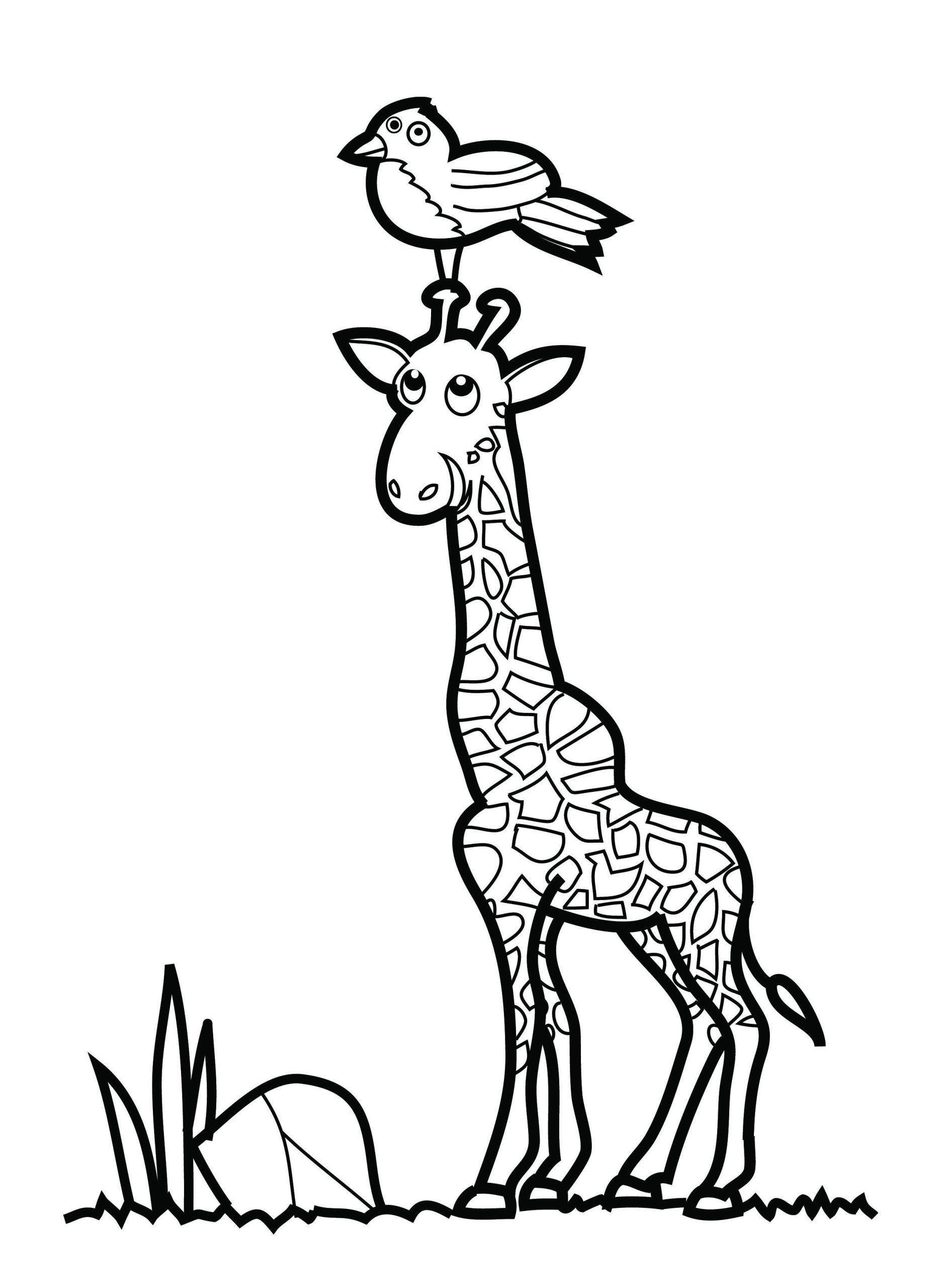 Coloring Book For Toddlers
 Malvorlagen fur kinder Ausmalbilder Giraffe kostenlos