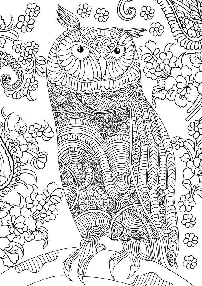 Coloring Books For Adults Printable
 OWL Coloring Pages for Adults Free Detailed Owl Coloring