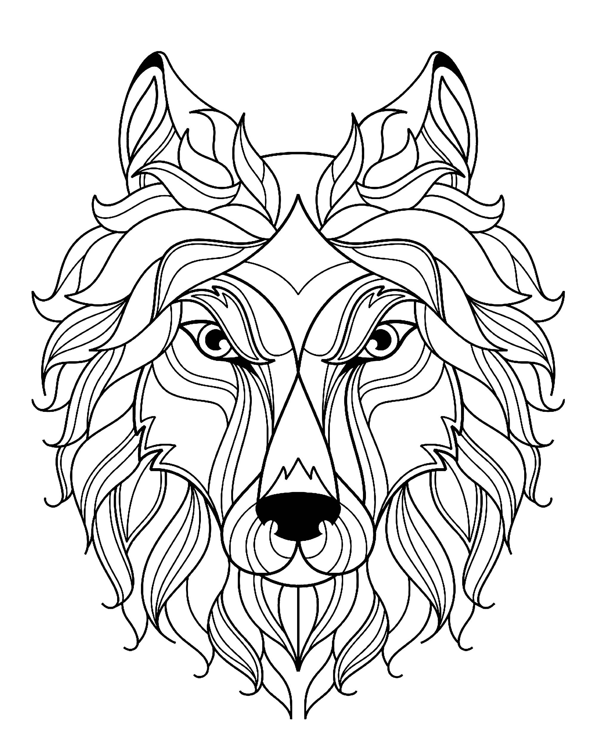 Coloring Pages For Adults Wolf
 Big wolf head simple Wolves Adult Coloring Pages