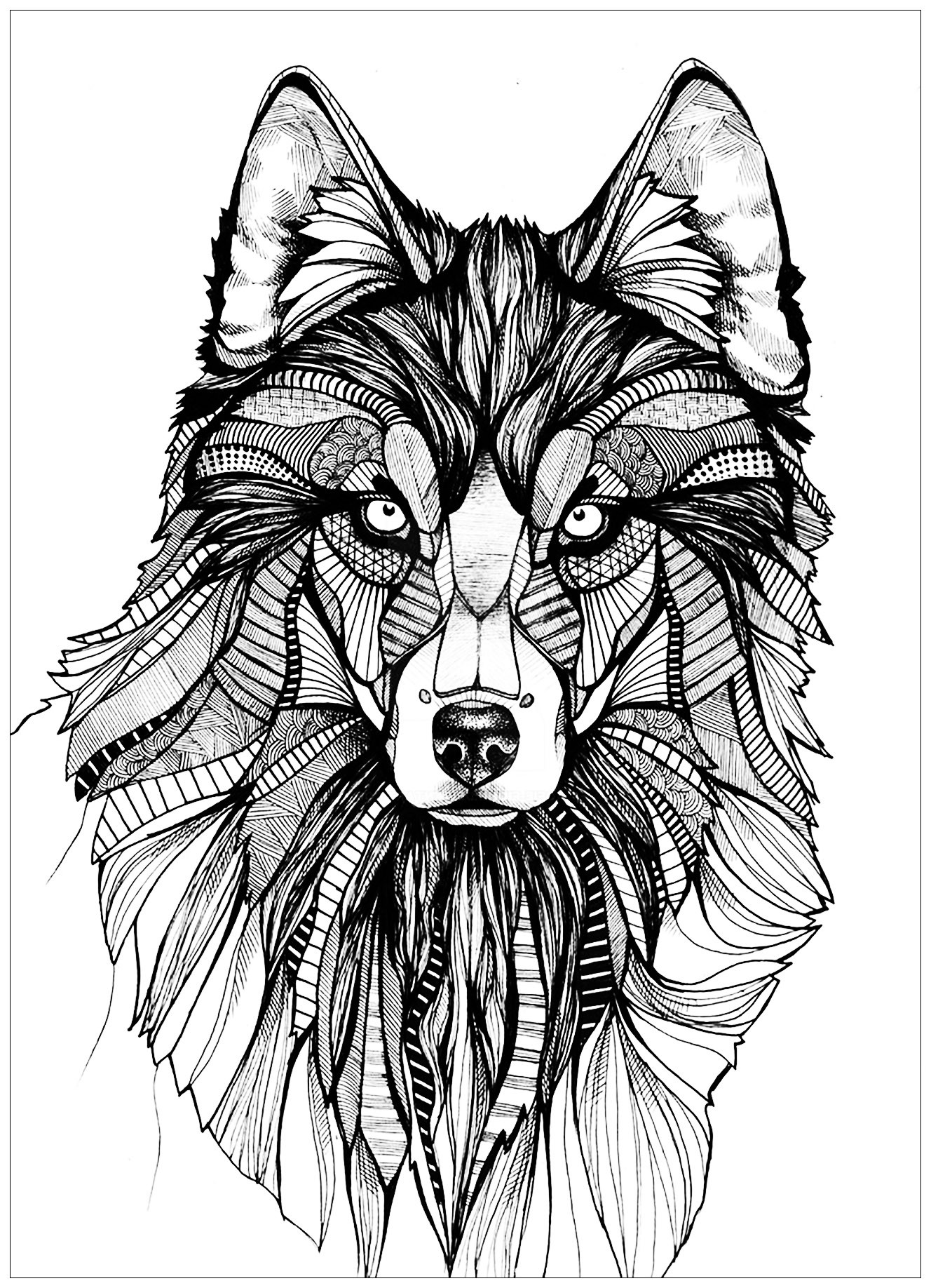 Coloring Pages For Adults Wolf
 Wolf 3 Wolves Adult Coloring Pages