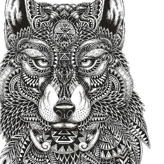 Coloring Pages For Adults Wolf
 Did you know that wolves are monogamic If anything