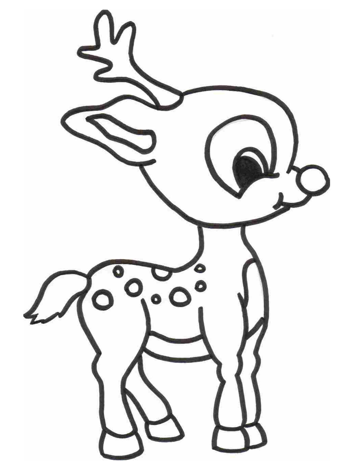 Coloring Pages For Kids Animals
 free printable coloring pages animals 2015