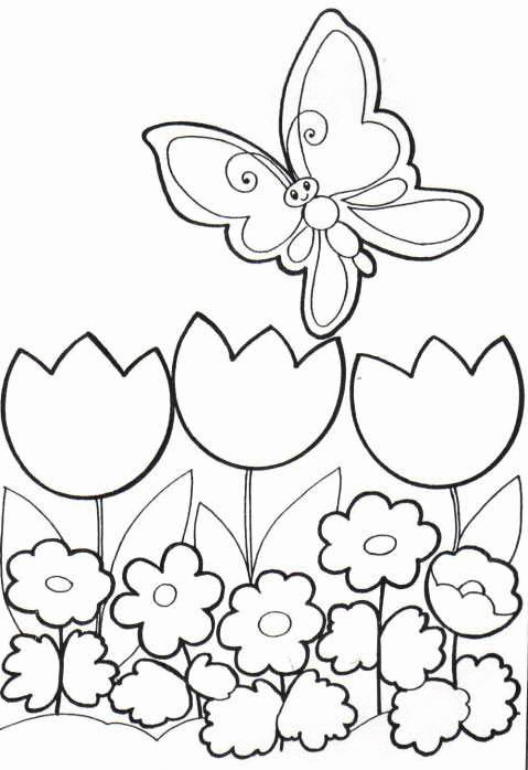 Coloring Pages For Kids Butterflies
 Kids n fun