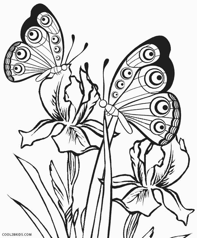 Coloring Pages For Kids Butterflies
 Printable Butterfly Coloring Pages For Kids