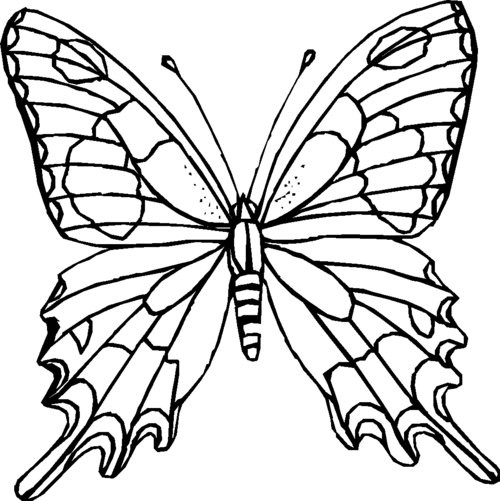 Coloring Pages For Kids Butterflies
 Butterfly Coloring Pages For Kids Disney Coloring Pages