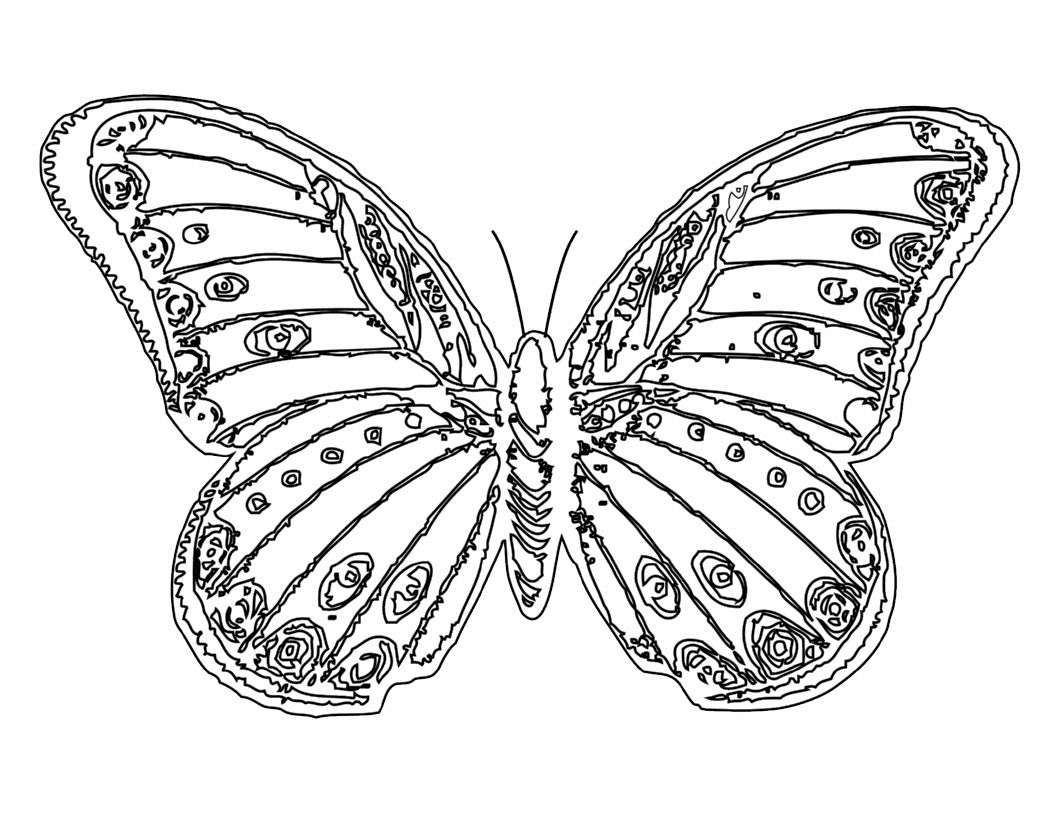 Coloring Pages For Kids Butterflies
 Free Printable Butterfly Coloring Pages For Kids