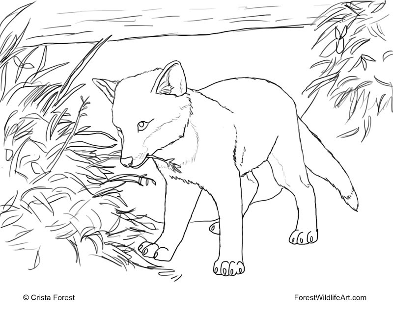 Coloring Pages For Kids Fox
 Cute Animal Coloring Pages Hard 8 Image – Colorings