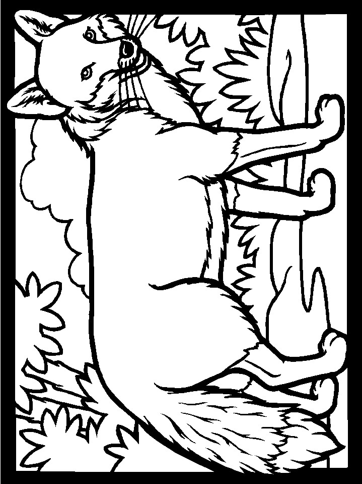 Coloring Pages For Kids Fox
 Print coloring page and book Color Fox Animals Coloring
