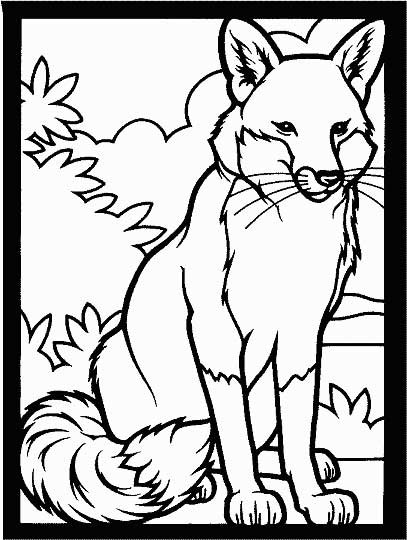 Coloring Pages For Kids Fox
 Fox Coloring Page for Kids Free Printable Picture