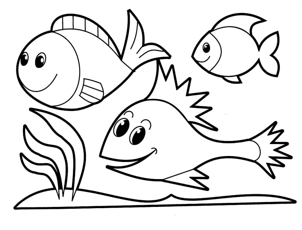 Coloring Pages Of Animals For Kids
 Animal Coloring Pages 13