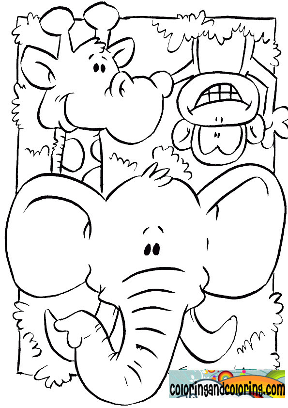 Coloring Pages Of Animals For Kids
 NEW 775 ZOO ANIMALS PRINTABLES FOR PRESCHOOLERS