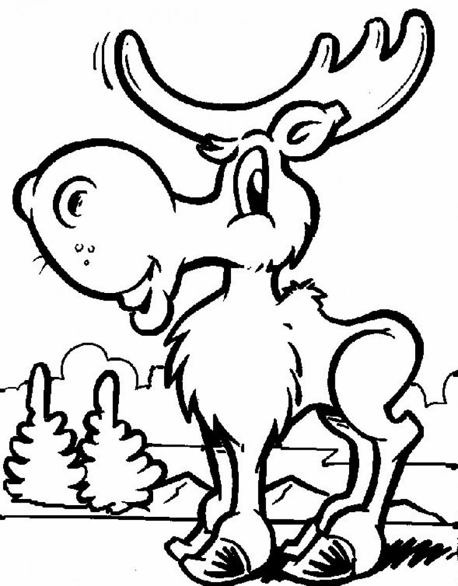 Coloring Sheet For Kids
 Free Printable Moose Coloring Pages For Kids