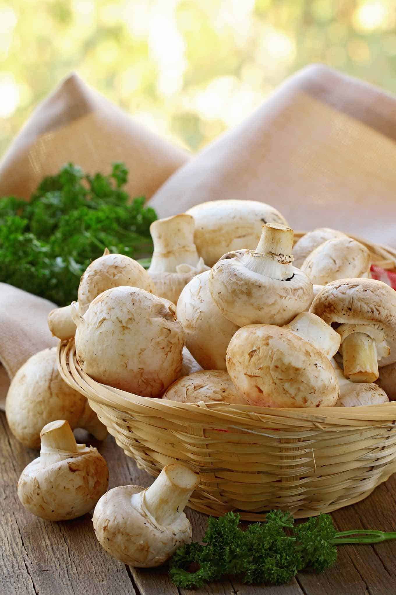 Cook Mushroom In Microwave
 Buying Storing and Cooking Mushrooms