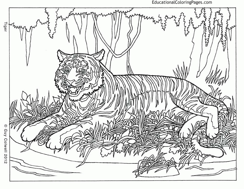 Cool Coloring Books For Kids
 Cool Designs Coloring Pages Coloring Home