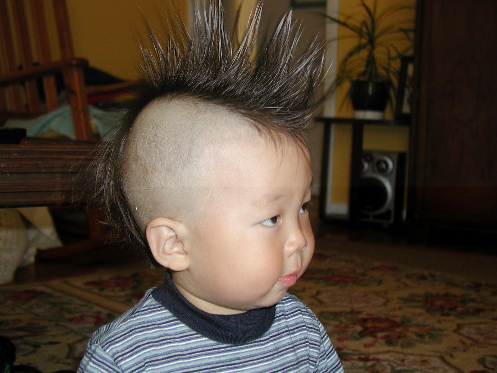 Cool Hairstyles For Kid Boy
 Kids Hairstyle Amazing & Trendy Hairstyles for Boys