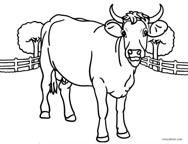 Cow Printable Coloring Pages
 Free Printable Cow Coloring Pages For Kids