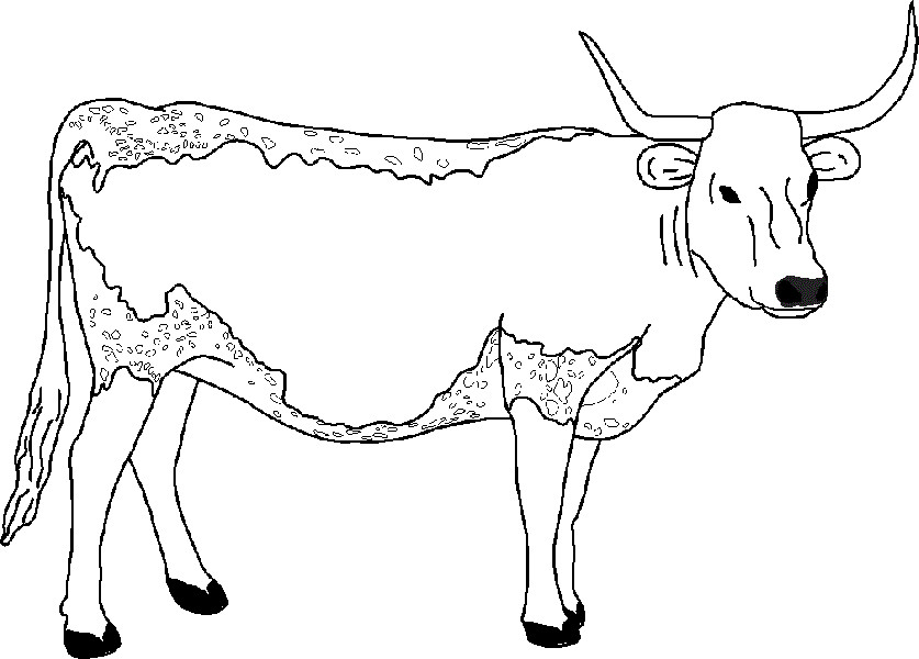 Cow Printable Coloring Pages
 Free Printable Cow Coloring Pages For Kids