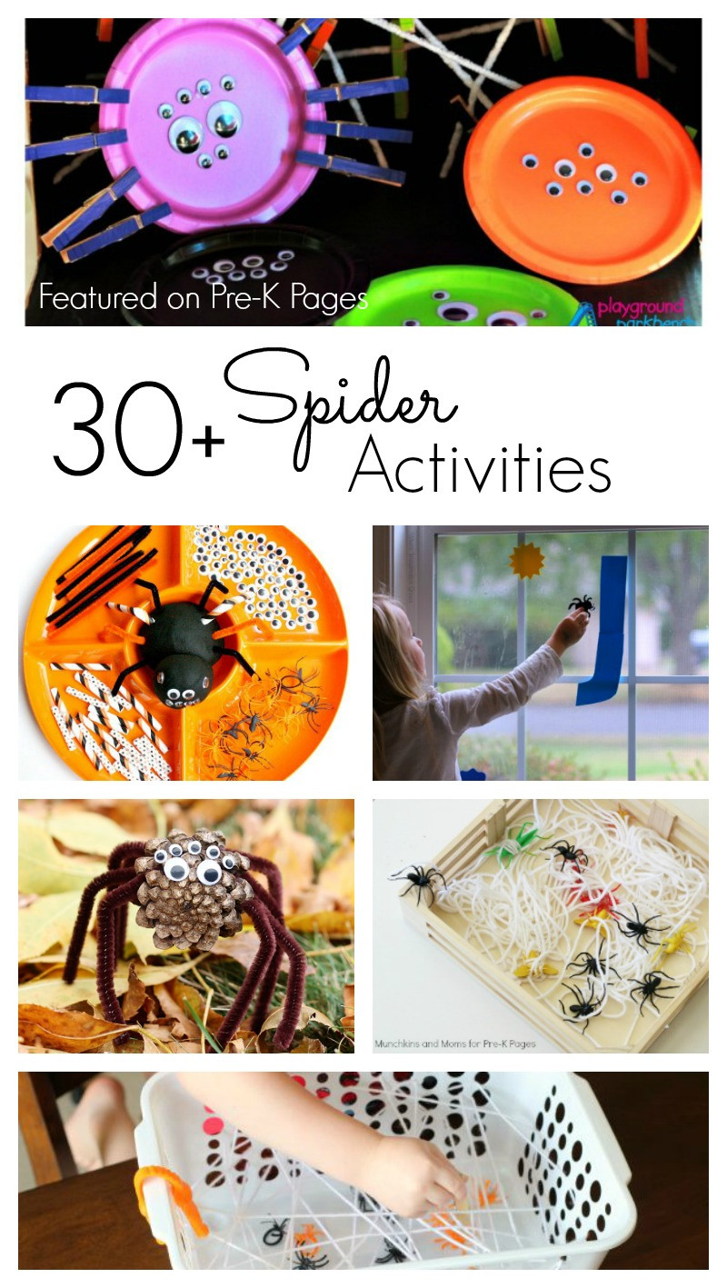 Craft Activities For Preschoolers
 Spider Activities for Preschoolers Pre K Pages