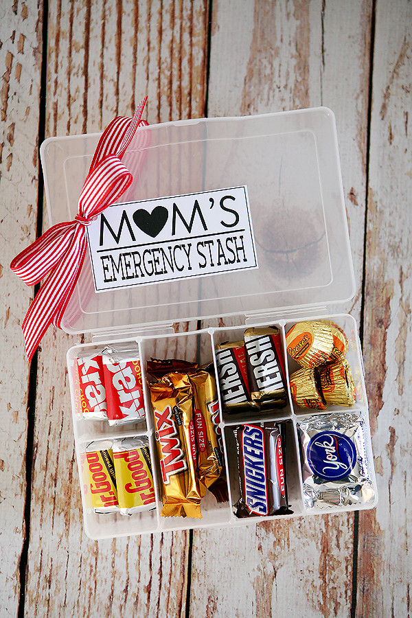 Cute DIY Gifts For Mom
 DIY Mother s Day Gift Ideas Crazy Little Projects