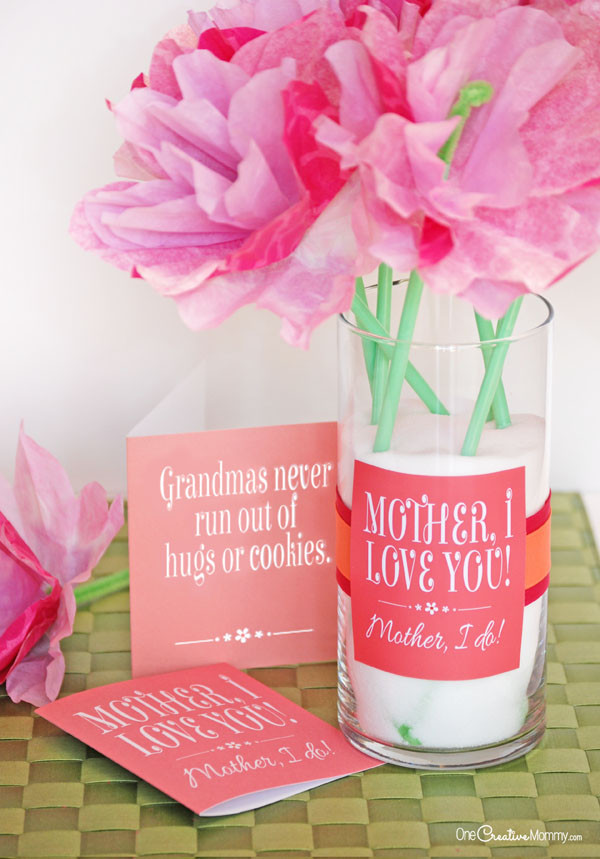 Cute Mother Day Gift Ideas
 Cute Mother s Day Gift Idea and Printables