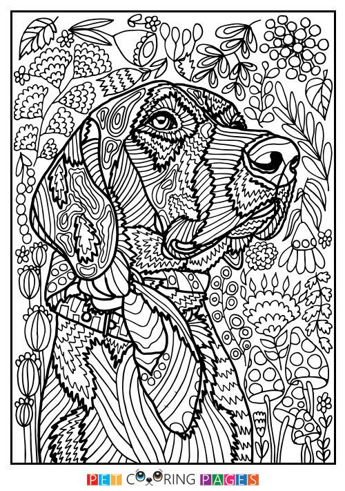 Detailed Coloring Pages For Girls
 Free printable Mutt coloring page "Rodžers" available for