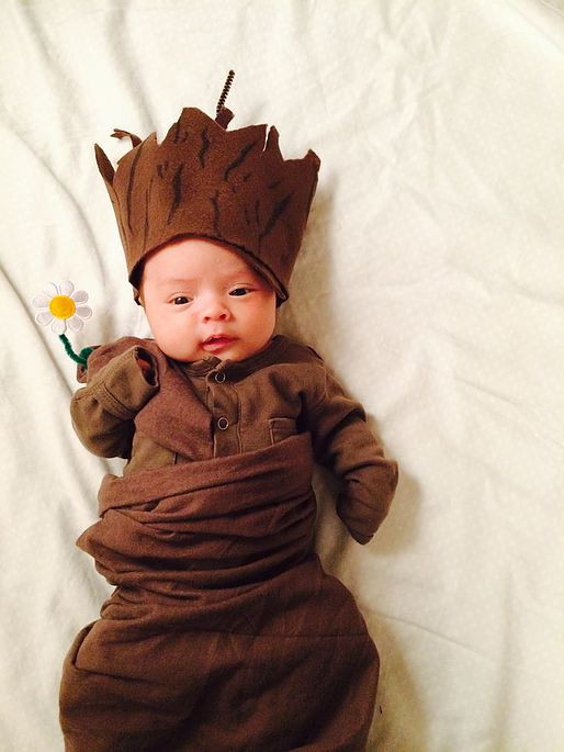 DIY Baby Costumes
 Check Out These 50 Creative Baby Costumes For All Kinds of