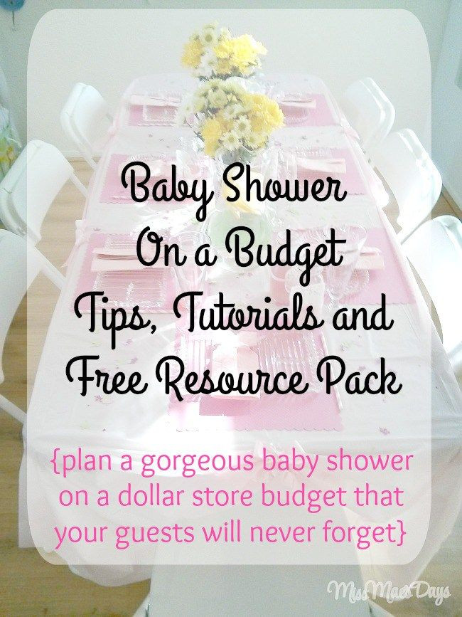 Diy Baby Shower Ideas On A Budget
 Baby Shower on a Bud