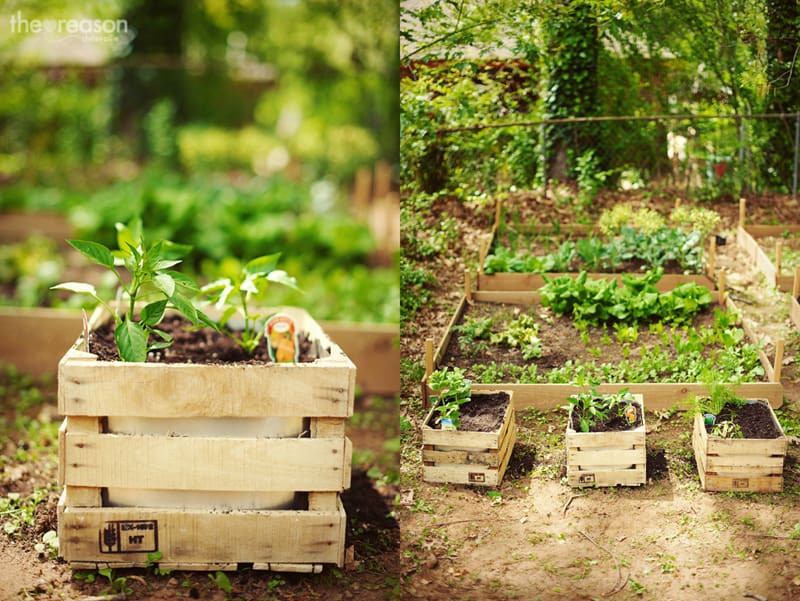 Diy Backyard Gardens
 DIY 40 Ideas for Gardening with Recycled Items