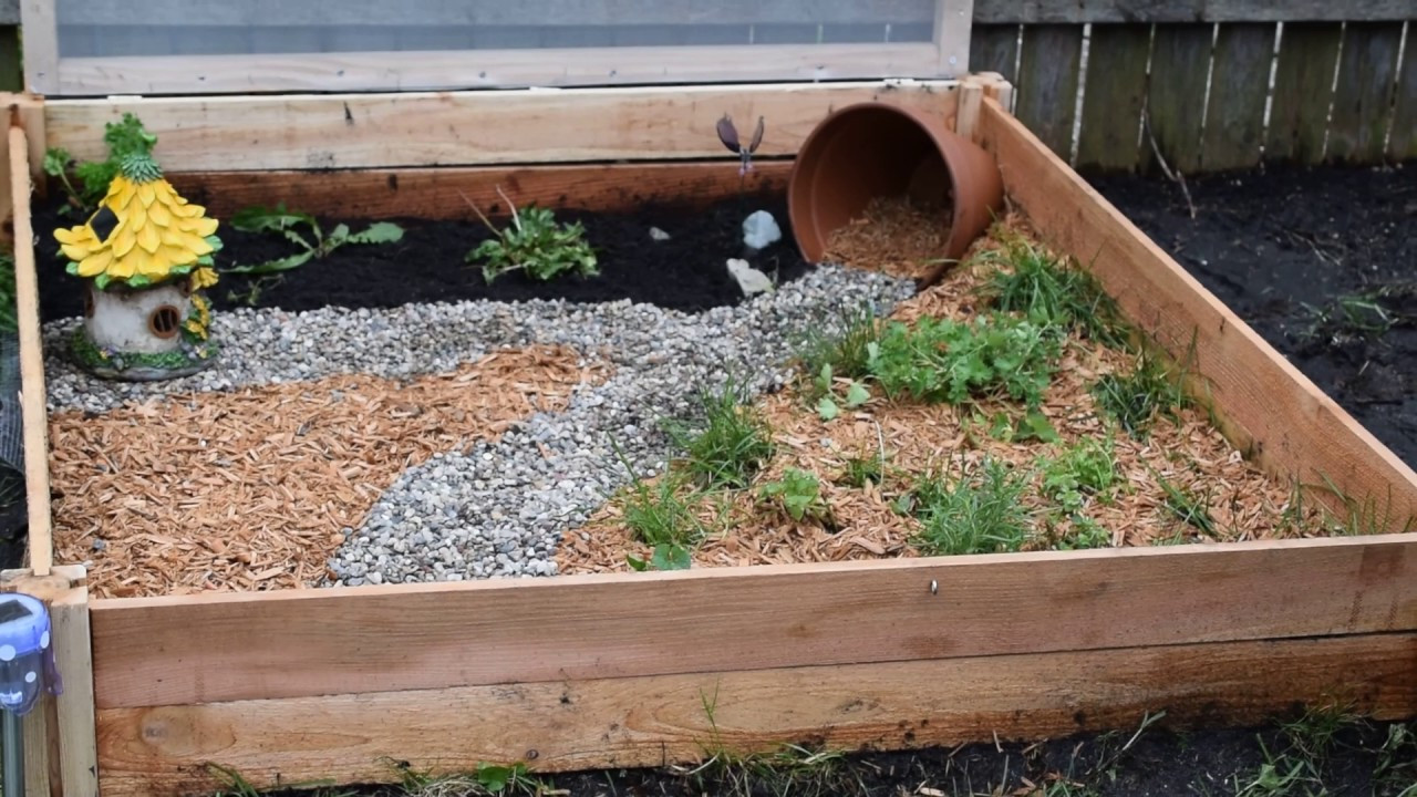 DIY Box Turtle Habitat
 Outdoor Tortoise Enclosure How to build your own