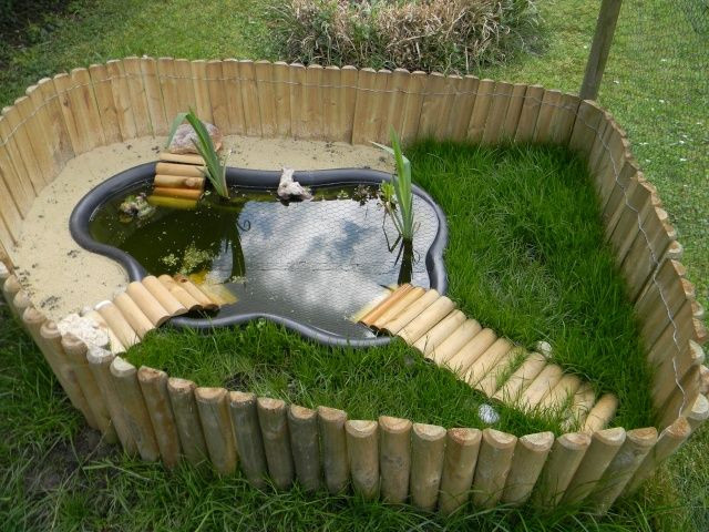 DIY Box Turtle Habitat
 Bassin d extérieur pour tortues ideas