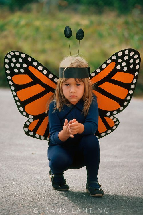 DIY Butterfly Costume
 monarch butterfly costume Mexico