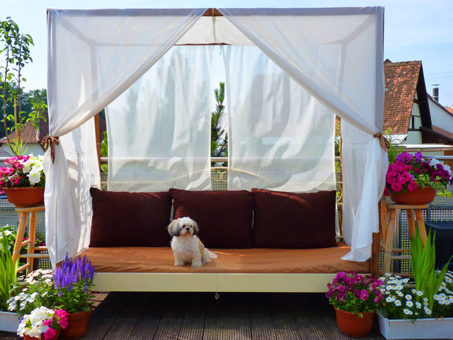 DIY Canopy Outdoor
 DIY Canopy Bed outdoor