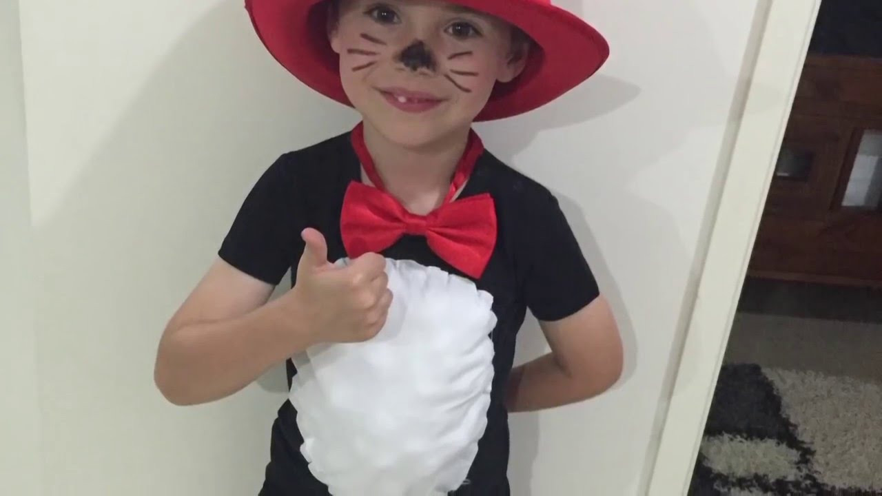 DIY Cat In The Hat Costume
 BASIC HOMEMADE CAT IN THE HAT COSTUME