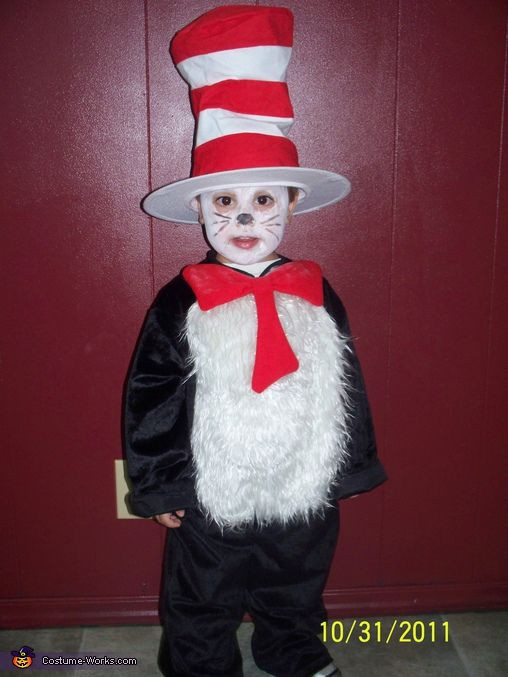 DIY Cat In The Hat Costume
 47 best Fall Festival Costumes images on Pinterest