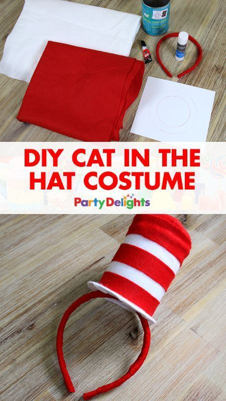 DIY Cat In The Hat Costume
 32 best Book Character Costumes images on Pinterest