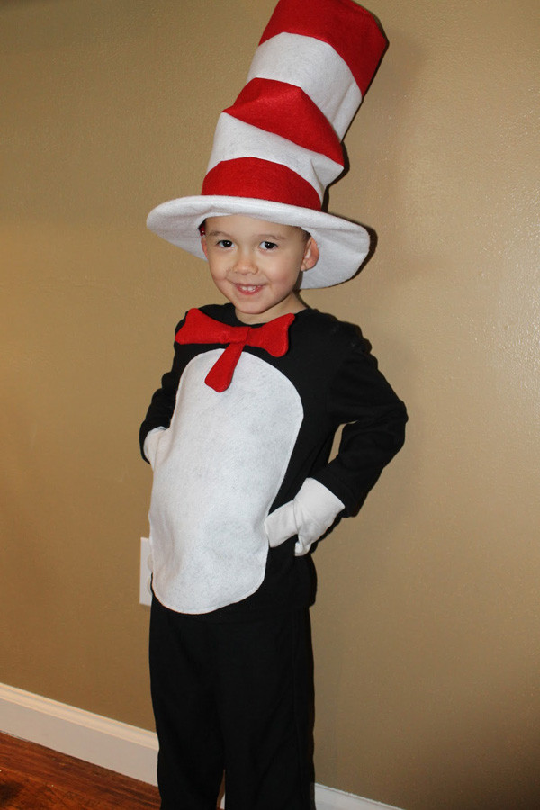 DIY Cat In The Hat Costume
 8 Cat Themed Halloween Costumes for the Whole Family Catster