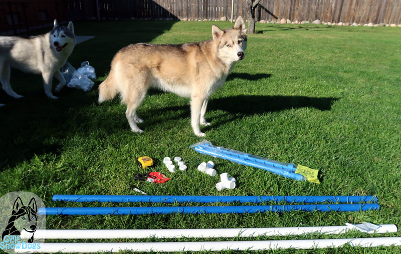 DIY Dog Agility Jumps
 DIY Build Your Own Agility Jumps for Backyard Fun Gone