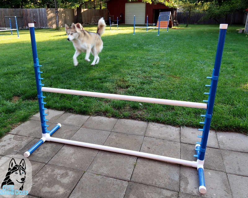 DIY Dog Agility Jumps
 DIY Build Your Own Agility Jumps for Backyard Fun Gone