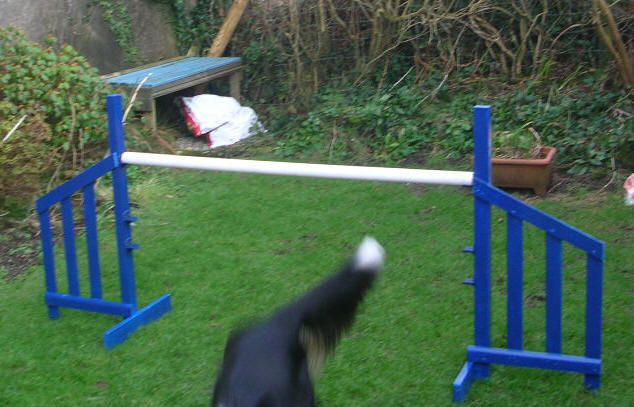 DIY Dog Agility Jumps
 Simple jump wings DIY Dog Agility Course