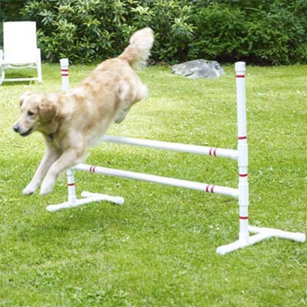 DIY Dog Agility Jumps
 15 Creative DIY Dog Projects