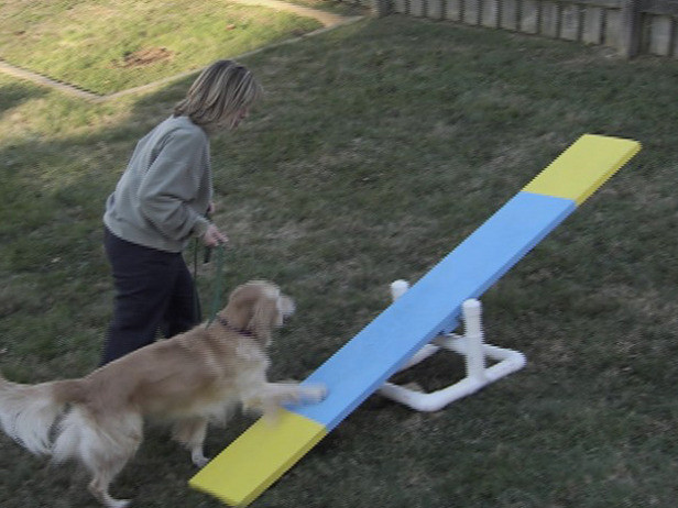DIY Dog Agility Jumps
 DIY Dog Agility Course petdiys