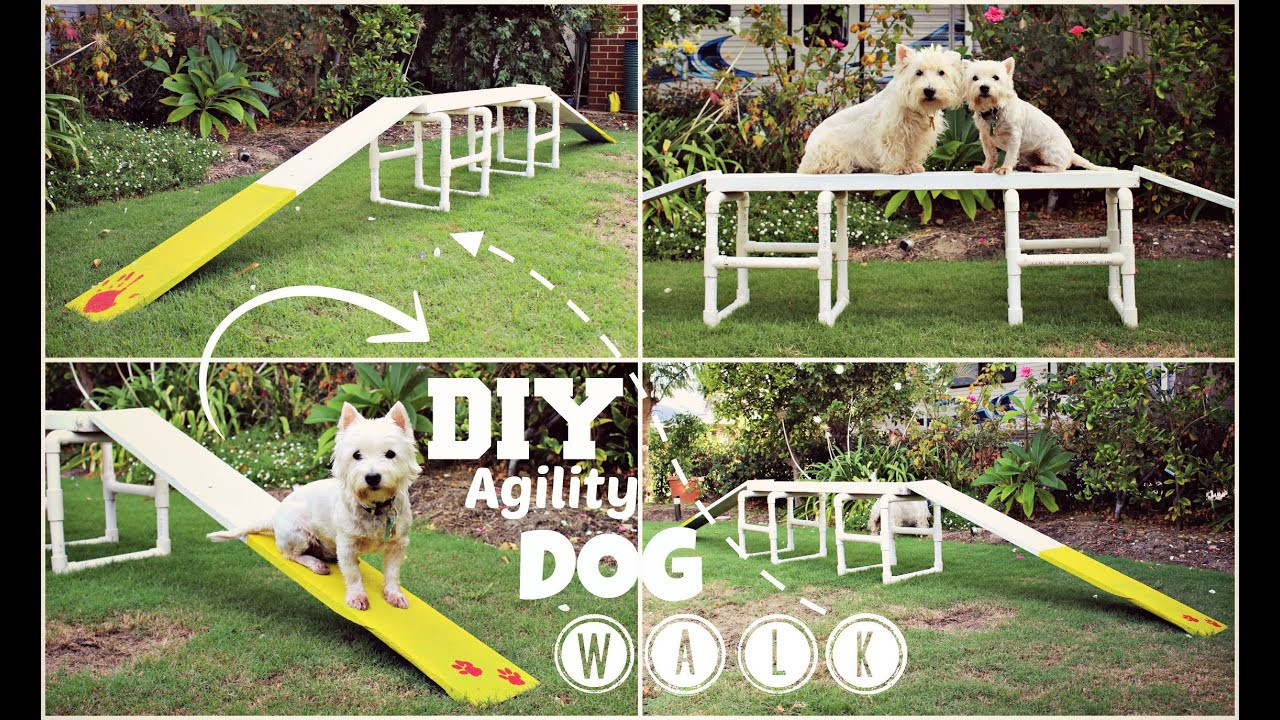 DIY Dog Agility Jumps
 How To DIY Agility Dog Walk